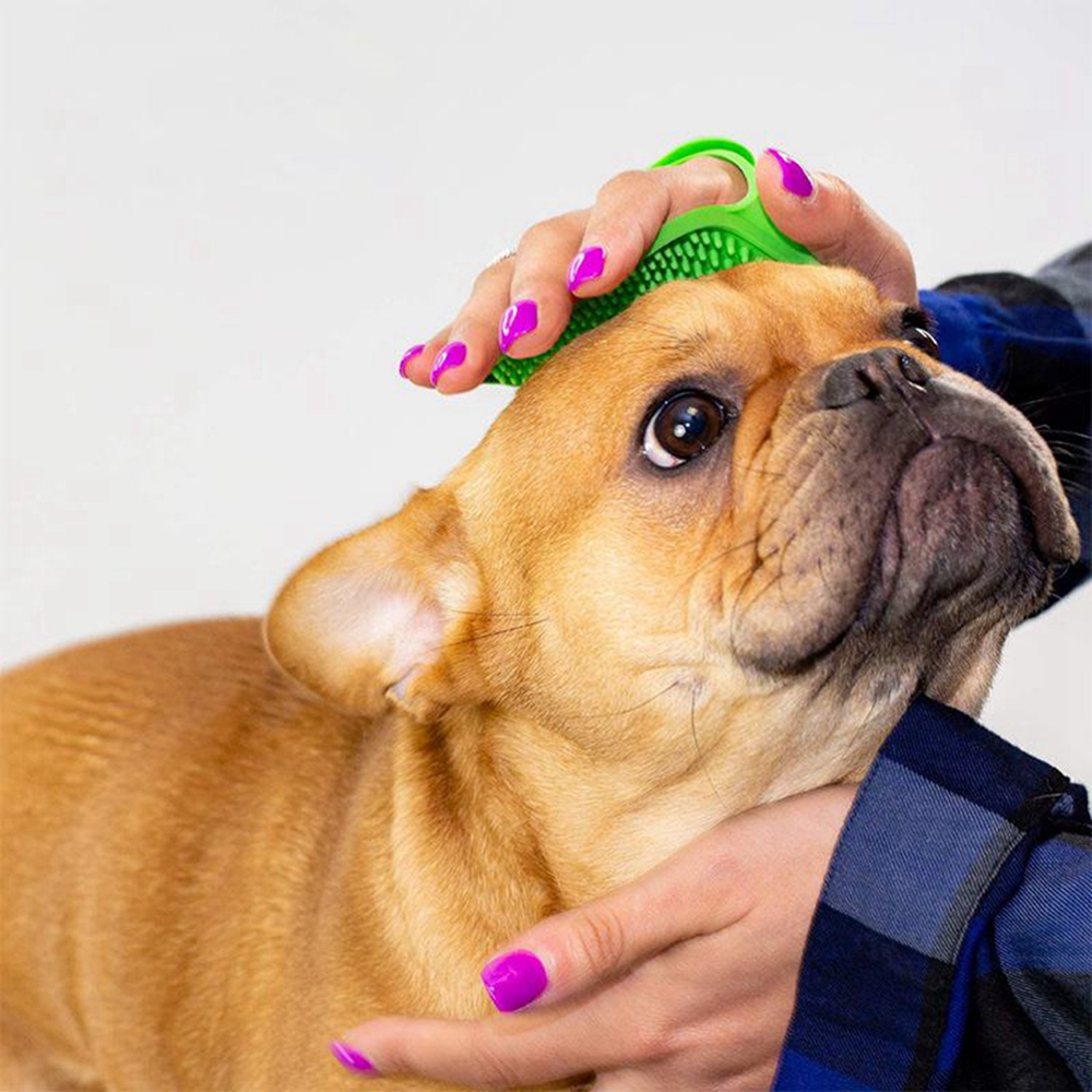 Pet Cleaning Brush Dog Cats Ba - مراجعة Rubber Glove Cleaning وسعره
