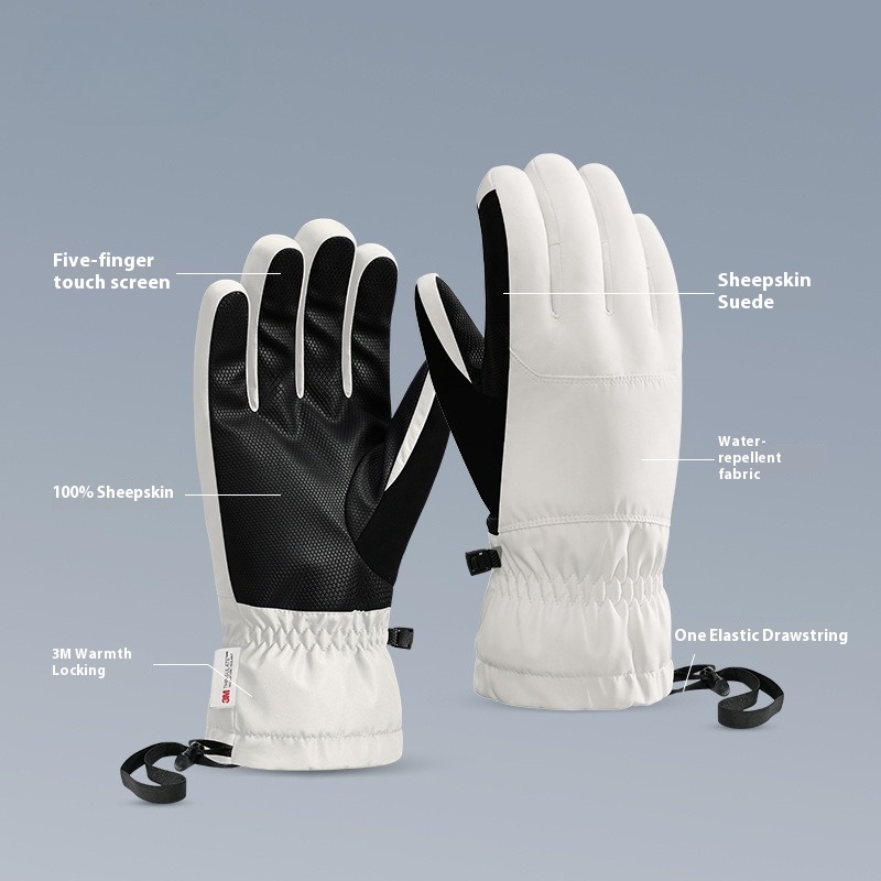 New Winter Thermal Gloves Skii - مراجعة Winter Glove Insulated وسعره