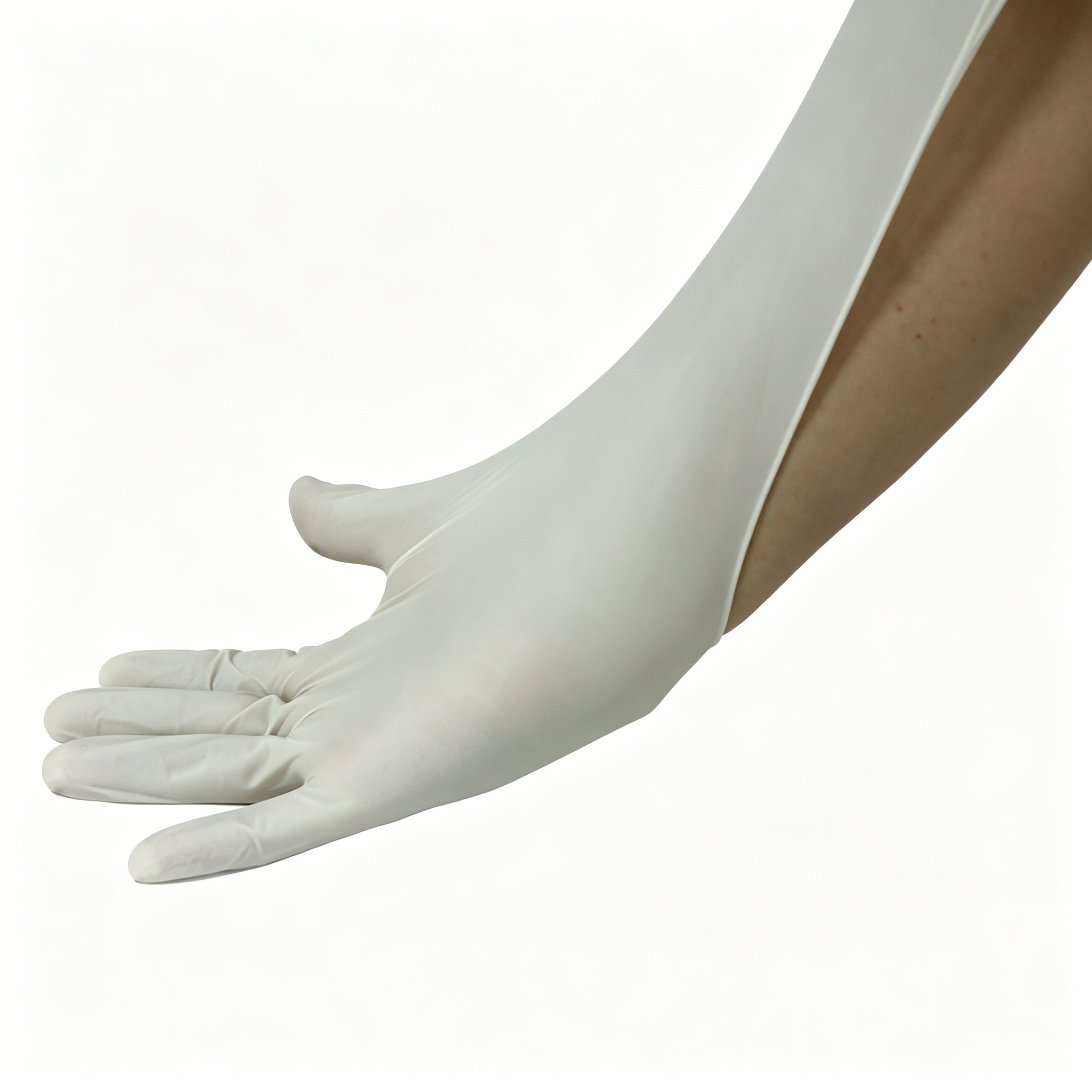 Disposable medical rubber exam - مراجعة Latex Disposable Glove وسعره