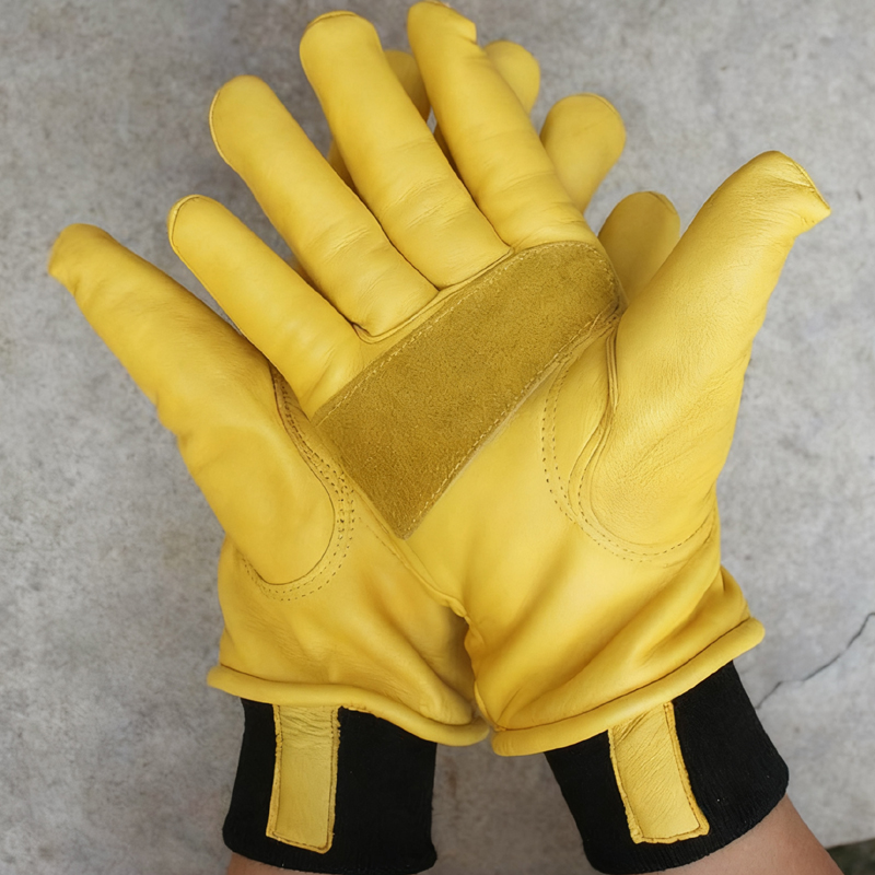 Mens Motorcycle Winter Gloves  - مراجعة Winter Glove Insulated وسعره